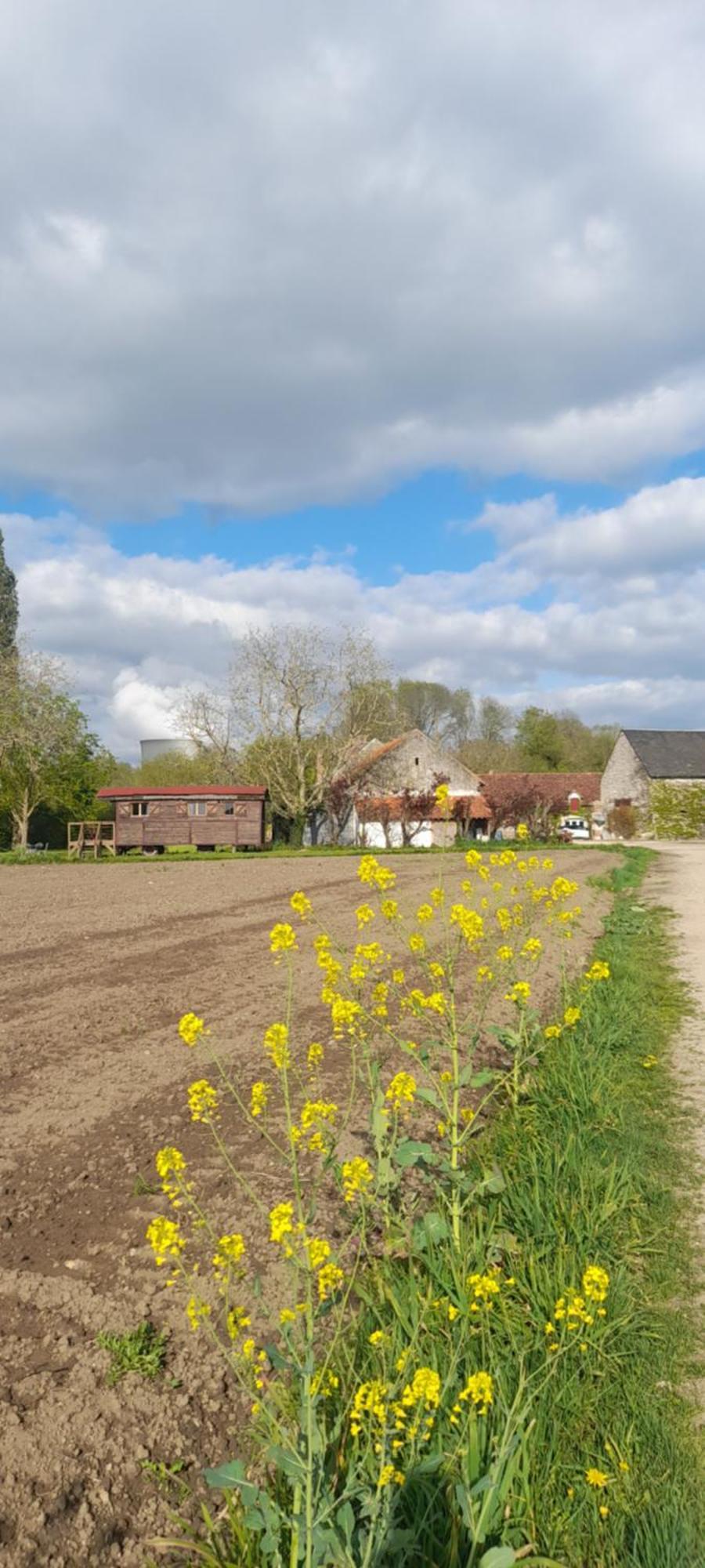 La Ferme De L'Isle Et Sa Roulotte Bed & Breakfast Avaray Exterior foto
